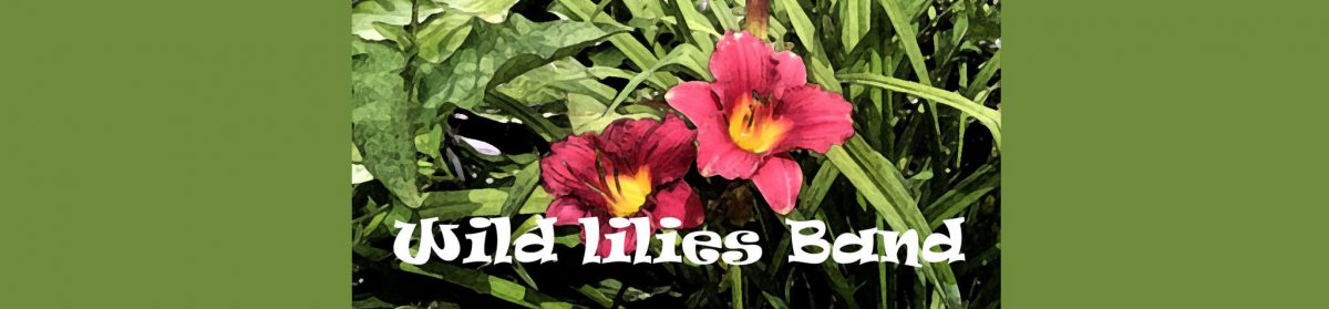 Wild Lilies Band